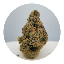 The Hempire Collective - THC - Rainbow Sherbet #11 RS-11 Flower Main Image
