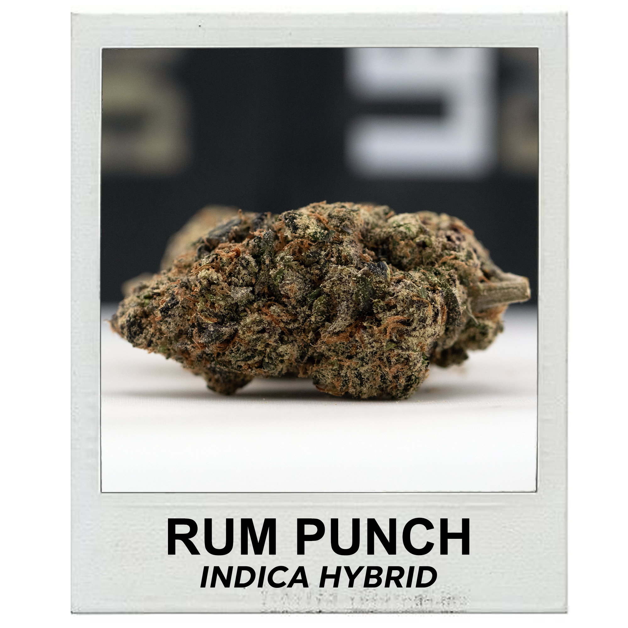 Rum Punch