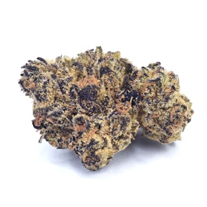 High Tide Organics - Rainbow Runtz | Greenhouse 14g
