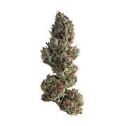 Grasshopper Farms - Runtz - Deli Flower