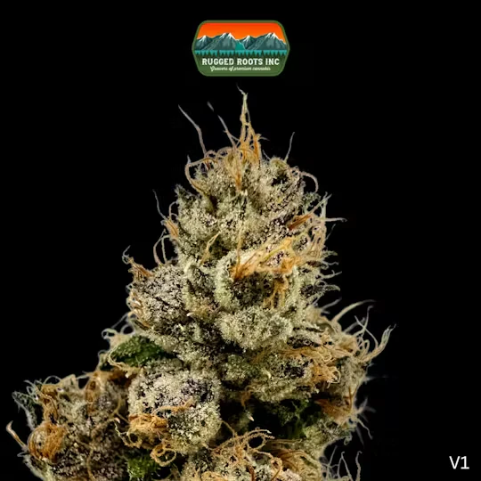 Rugged Roots - Flower | Runtz Main Image