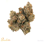 Bouket | Blue Nerdz | 4G Hybrid - Large Bud 