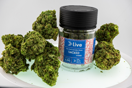 Live - LIVE - Sacked - Sativa - 3.5G