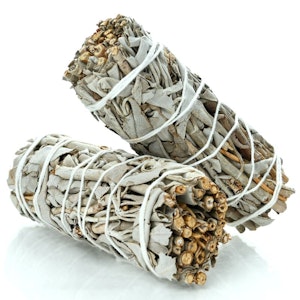 Aligned - White Sage