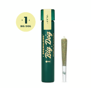 DOGWALKERS - Durban Z Big Dog Pre-Roll - 0.75g