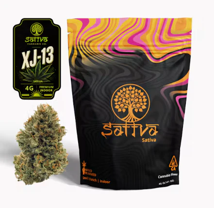 Sattva - Xj-13 4G Main Image