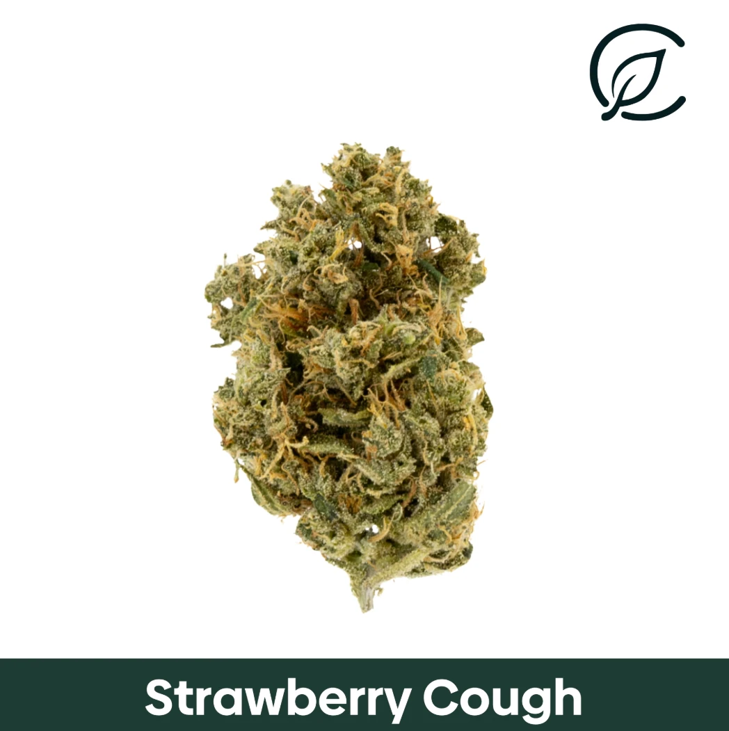 Curaleaf - Curaleaf Whole Flower 14g Strawberry Cough (S) 01056 Main Image