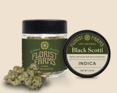 FLORIST FARMS - Florist Farms | Black Scotti | 7gram Indica 