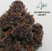  Astro | Flower | Scorpion's Heart | 3.5g