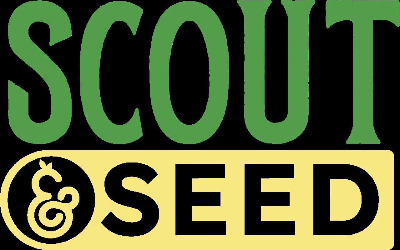 Scout & Seed - SCOUT & SEED - GOD'S GIFT 3.5 GRAMS Main Image