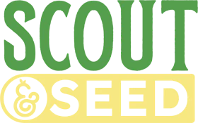SCOUT & SEED - CAP JUNKY 3.5 GRAMS