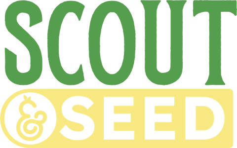 SCOUT & SEED - SCOUT & SEED - MELTED STRAWBERRIES 14 GRAM SMALLS