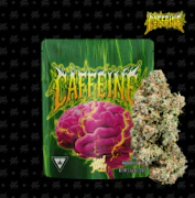 Seed Junky Genetics - 7g Bigs - Caffeine