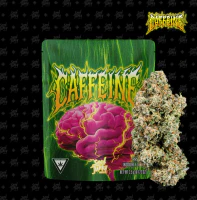 Seed Junky Genetics Michigan - Seed Junky Genetics - 7g Bigs - Caffeine Main Image