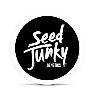 Seed Junky - Seed Junky Tropical Burst Infused Hash Hole 1.5g (REC)