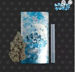 Seed Junky Genetics - Seed Junky Genetics - 1g Preroll - Arctic Burst