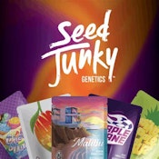 Seed Junky - (H) Creamy Z Half Ounce Flower (14g)