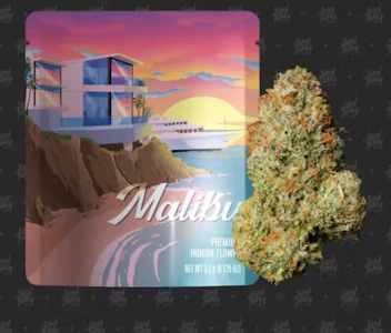 Seed Junky Genetics - Seed Junky 3.5g Malibu