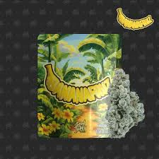 Seed Junky Genetics - Seed Junky Genetics - 3.5g - Banana Fruz Main Image