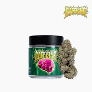 Seed Junky Genetics - 3.5g - Caffeine