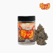Seed Junky Genetics - 7g Bigs - Donut Peach
