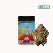 Seed Junky Genetics - 7g Bigs - Gello Shotz