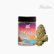 Seed Junky Genetics - 7g Bigs - Malibu