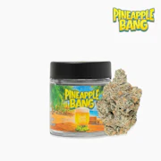 Seed Junky Genetics - 3.5g - Pineapple Bang