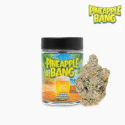 Seed Junky Genetics - 7g Bigs - Pineapple Bang