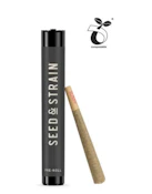 Crotch Rocket Pre-Roll - 1g
