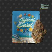 Seed Junky Genetics - 3.5g - Tropical Burst
