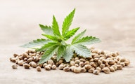 Supernaturals - Durban Poison x Trop Cherry - 5 Feminized Seeds