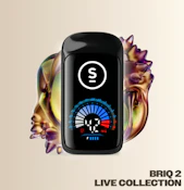 Permanent Marker Live Series Briq 2 Disposable Vape - 2g