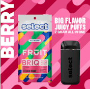 Blackberry Blast Disposable Vape - 2g