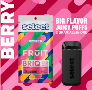Select Fruit Stiq - Sweet Strawberry Disposable Vape - 2g