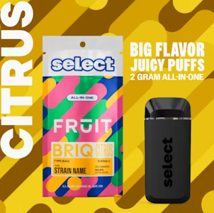 Select Fruit Stiq - Key Lime Tide Disposable Vape - 2g