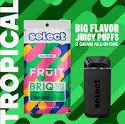 Watermelon Breeze Disposable Vape - 2g