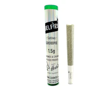 Selfies | Durban Cookies | Infused Pre-Roll | 1.5g