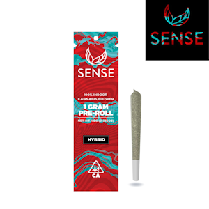 SENSE - Yuzu Sour Pre-Roll