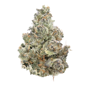 Sense | Bubblegum | 3.5g