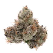 Sense | Pink Runtz | 3.5g
