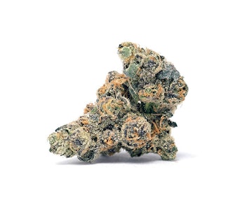 SENSE - Sense | El Chivo #5 | 3.5g