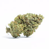 Real Life Botanicals | Sensi Star 