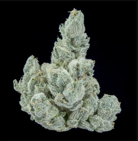 Bountiful Farms - Southern Hashpitality - 7g - Bountiful Farms Main Image