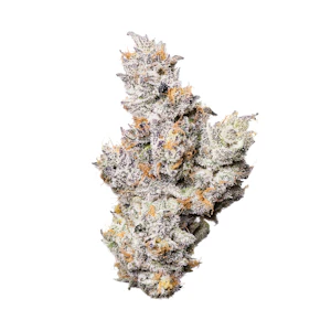 Fig Farms - Shady Scotty - 3.5g (IH) - Fig Farms