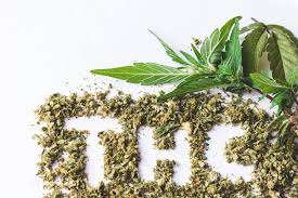 THC - SHAKE Rainbow Kotton Kandy
