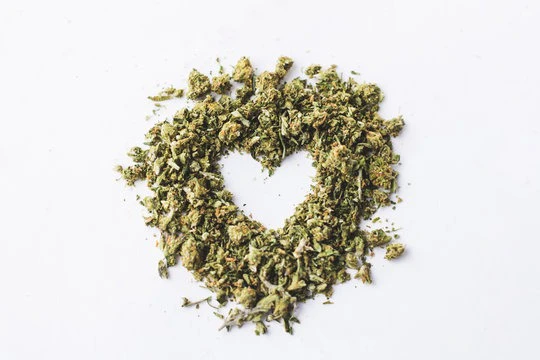 GREEN ZONE - Cherry Runtz (SHAKE) Pre-Packed Half Ounce Main Image