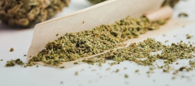 Turntables Grand Class Ready To Roll Flower 14g BLUE WARHEADZ