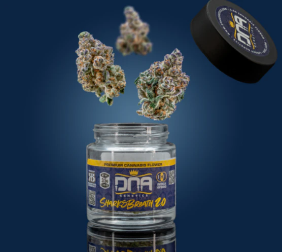 DNA Genetics - Sharksbreath 2.0 Flower - 3.5g Main Image