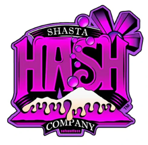 SHASTA FLOWER & HASH CO. - Bolo Runtz 1G Main Image